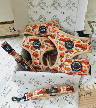 Pumpkin Patch Cart Dog Harness, 11 of 11