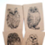 A5 Owl Notebook In A Choice Of Plain Or Lined Paper, thumbnail 6 of 12