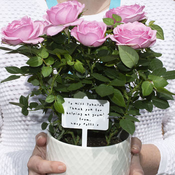 Thank You Teacher Personalised Plant Marker, 2 of 6