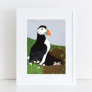 Puffin Prints 'choice Of Four Designs' By Bird | notonthehighstreet.com