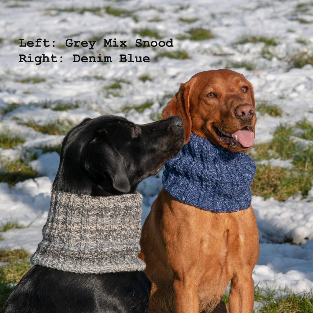 woollen snood for dog by the dandy dog company