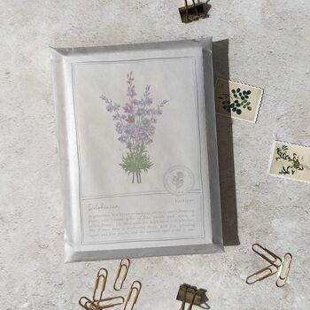 Botanical Garden Flowers Postcards Gift Set, 3 of 10