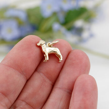 Labrador Silver Dog Charm, 5 of 10