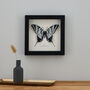 Personalised Papercut 3D Butterfly Framed Print Gift, thumbnail 4 of 9