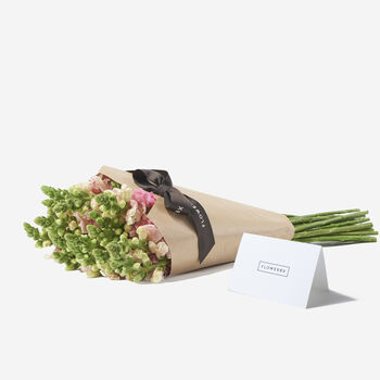 Cotton Candy Snapdragon Fresh Bouquet, 3 of 3