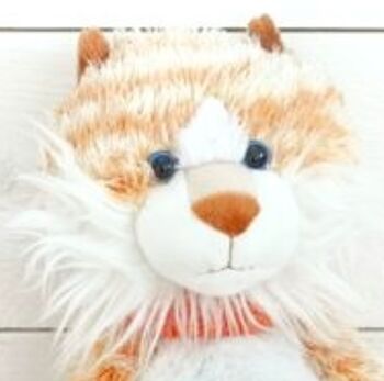 Ginge The Cat, Cuddly Companion Soft Toy, Gift Wrapped, 2 of 6