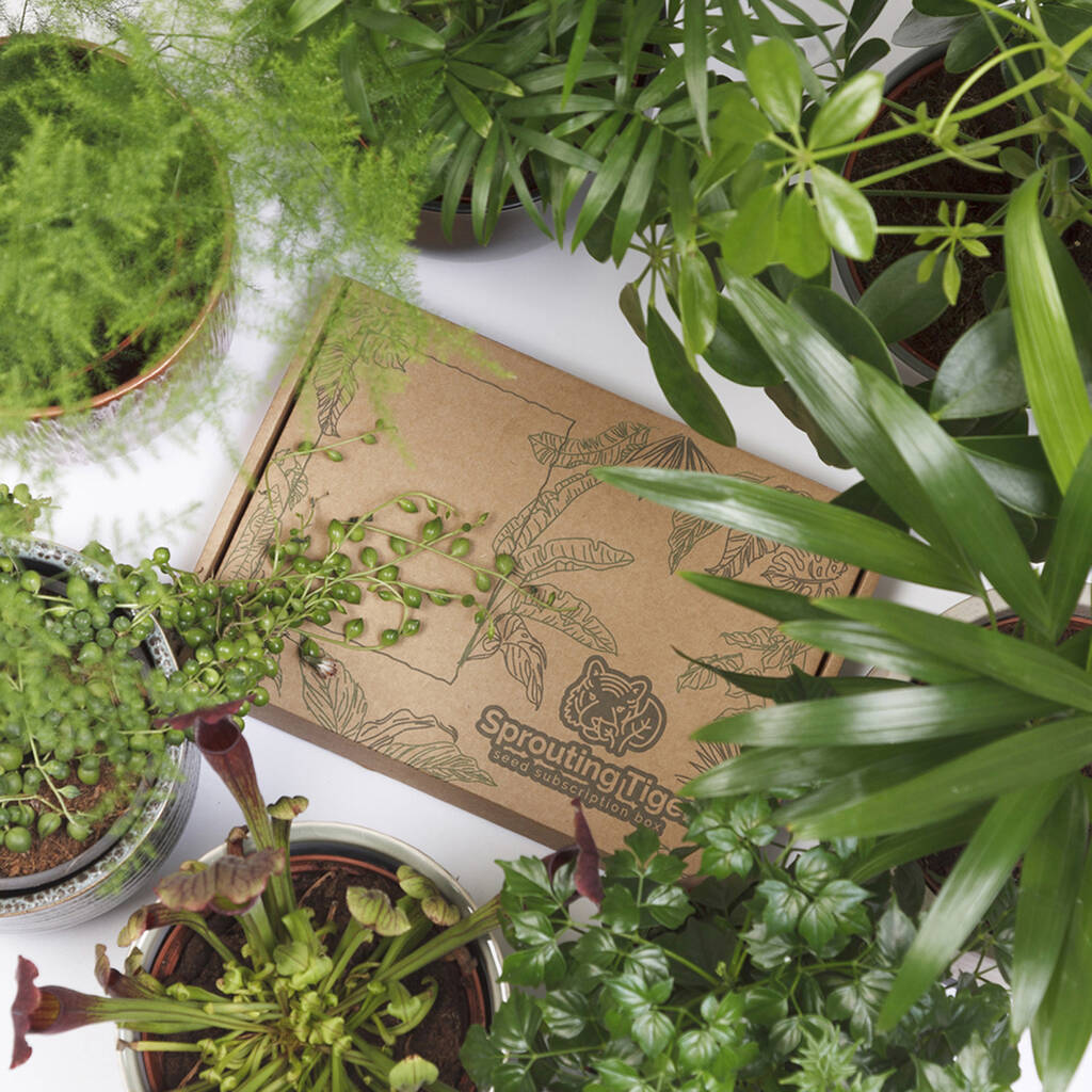 Monthly Tropical Houseplant Seed Subscription Box, 1 of 12