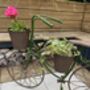 Steel Bike Planter, thumbnail 10 of 12