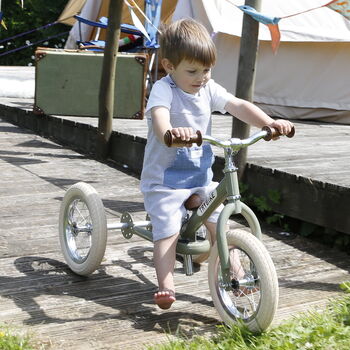 2 in 1 trike and balance bike