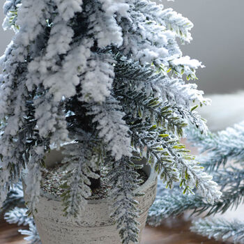 Small Snowy Christmas Tree In Pot, 3 of 4