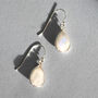 Sterling Silver Moonstone Drop Earrings, thumbnail 1 of 7