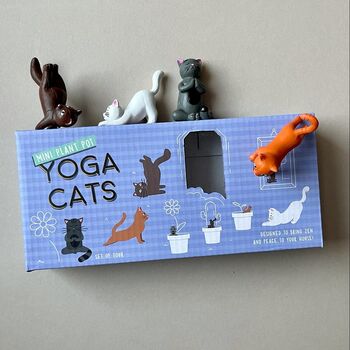 Plant Pot Yoga Cats By Nest Gifts