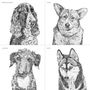Set Of Four Dog Portrait Prints, thumbnail 10 of 12