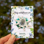 Wildflower Sea Holly Eco Wooden Pin Brooch, thumbnail 4 of 9