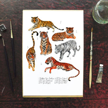 Streak Of Tigers Art Print, 3 of 6