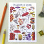 Mushrooms Of Britain Illustrated Postcard, thumbnail 1 of 9