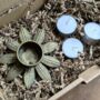 Flower Shaped Antique Brushed Gold Tealight Votive| Gift Set, thumbnail 2 of 4