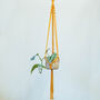 D.I.Y. Macramé Hanging Planter Kit, thumbnail 5 of 5