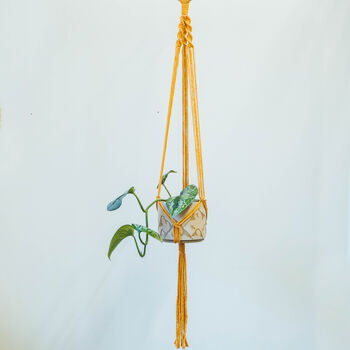 D.I.Y. Macramé Hanging Planter Kit, 5 of 5