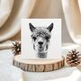 Fun Hand Drawn Llama Greeting Card Illustration, thumbnail 1 of 6