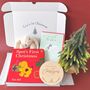 Baby's First Christmas Gift Set With 1st Christmas Book, thumbnail 2 of 10