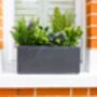 Evergreen Artificial Window Box In Small, thumbnail 1 of 2