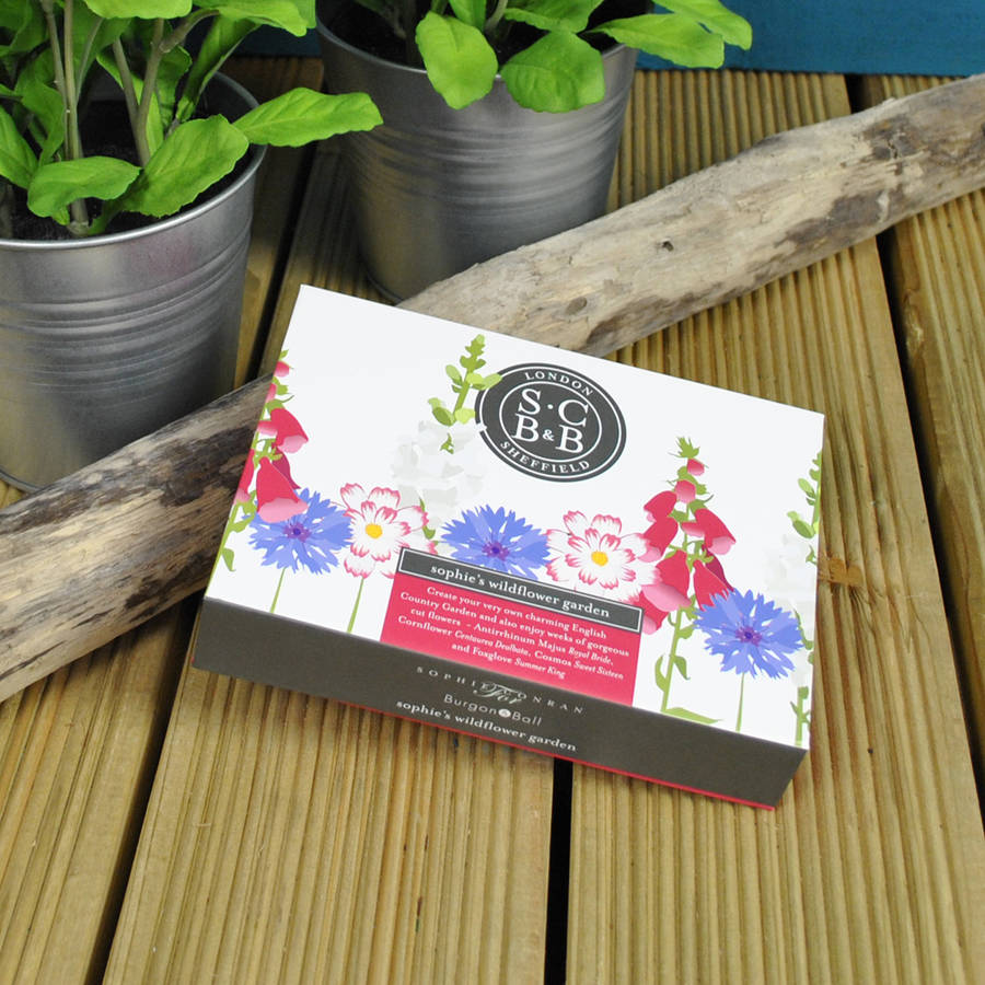 Wildflower Seed Collection Gift Set By Garden Selections