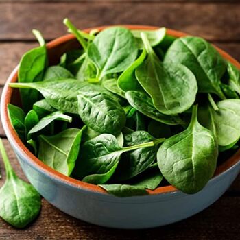 Vegetable Plants Spinach 'Renegade' Plant Pack, 2 of 11