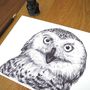 Snowy Owl Pen And Ink Illustration Framed Print, thumbnail 3 of 3