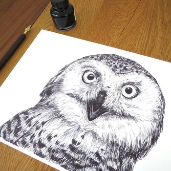 Snowy Owl Pen And Ink Illustration Framed Print, 3 of 3