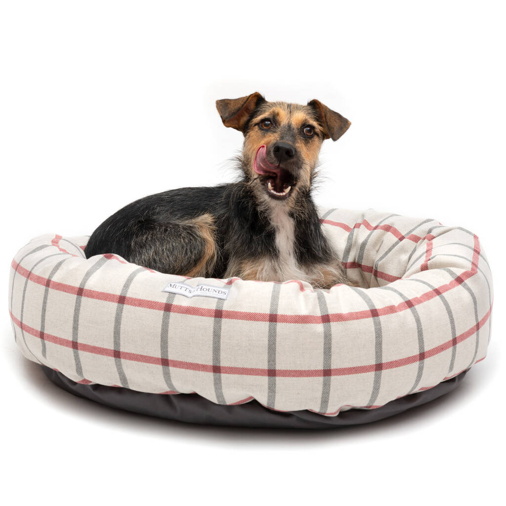 Nottingham Checked Brushed Cotton Dog Beds By Mutts & Hounds ...