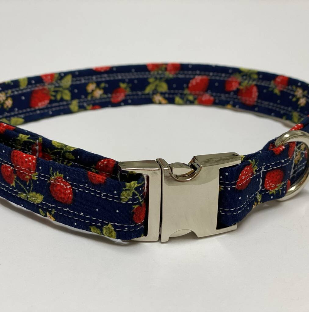 Blue Strawberry Dog Collar By Muddy Paws Accessories