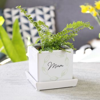 Personalised Mini Cube Plant Pot For Mum, 2 of 10