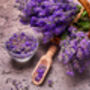 Lavender Plants 'Hidcote' In A One Litre Pot, thumbnail 3 of 10