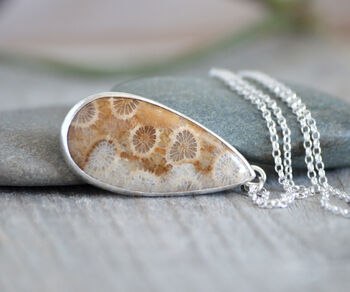 Teardrop Fossilized Coral Necklace In Sterling Silver, 3 of 4