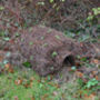 Hogitat Brushwood Hedgehog House, thumbnail 2 of 8