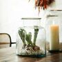 Clear Glass Vases, thumbnail 3 of 8