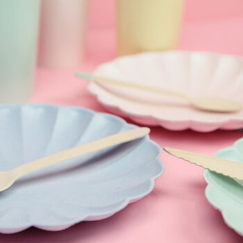 Eco Friendly Pastel Party Plates, 6 of 6
