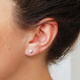 Tiny Silver Star Earrings, thumbnail 2 of 2