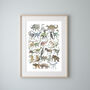 Extinct Animal Alphabet, thumbnail 3 of 7