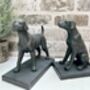 Set Of Two Bronzed Dog Bookends – Labrador And Spaniel, thumbnail 3 of 12