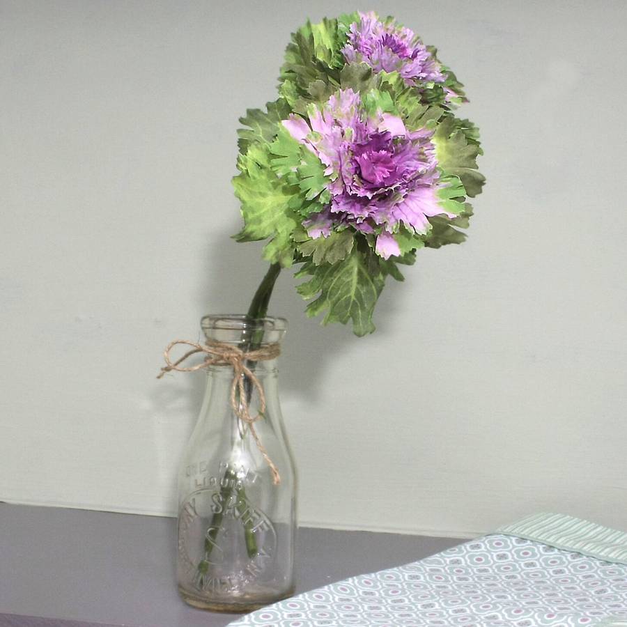 vibrant cabbage flower stem by ella james