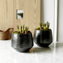 Metallic Black Handmade Plant Pot, thumbnail 1 of 3