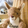 Personalised Kangaroo Soft Toy Teddy Bear For Children, thumbnail 2 of 7