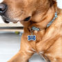 Personalised Doggy Bone Pet ID Tag, thumbnail 2 of 8