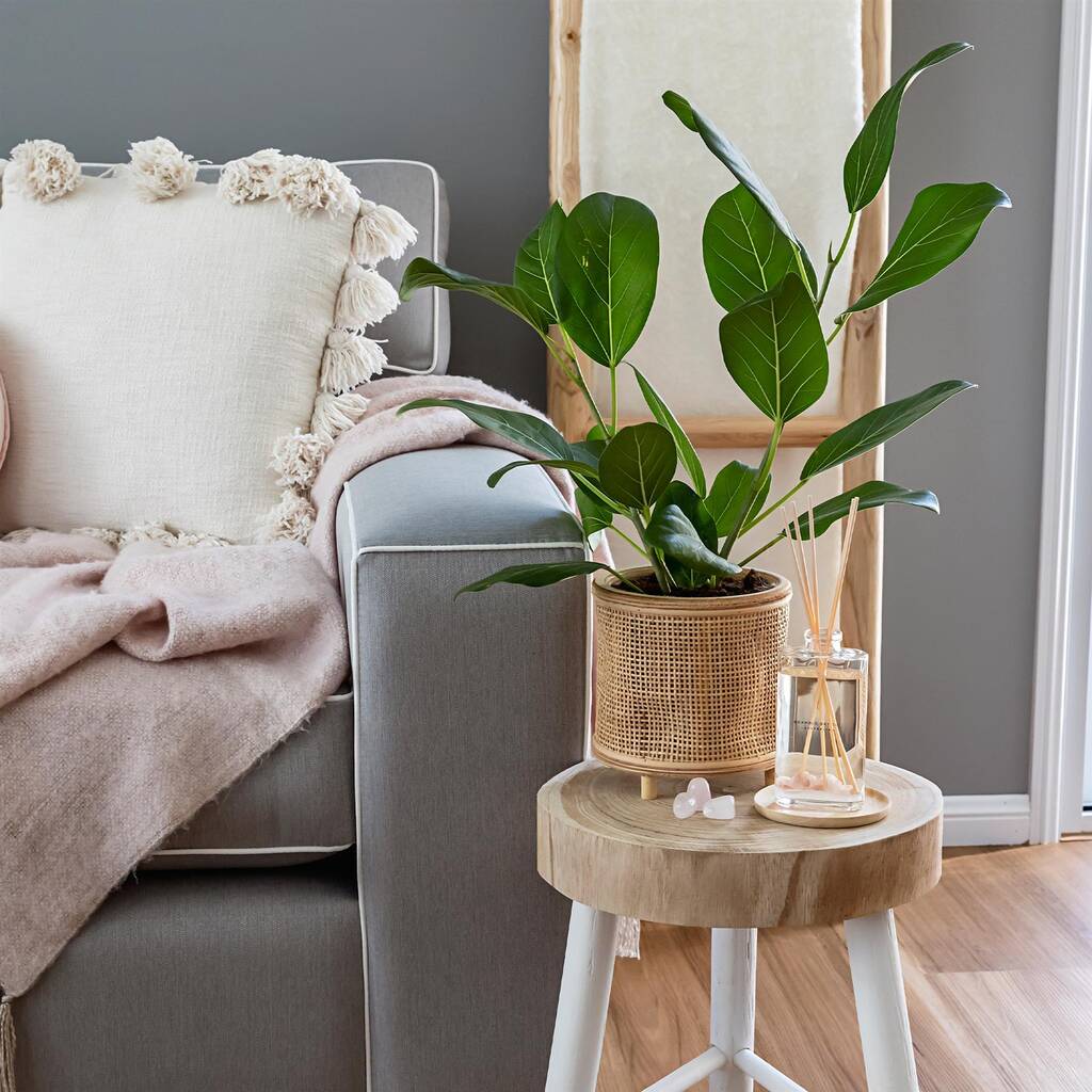 Rose Quartz Crystal Infusions Scented Reed Diffuser By Rinkit