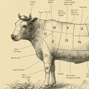 British Beef Cut Cow Print, Butcher Chart, 7 of 10