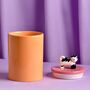 Orange Ceramic Cat Treat Jar, thumbnail 2 of 3