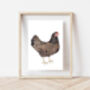 Chicken Art Print, Barnevelder Art Print, Hen Art, thumbnail 1 of 2