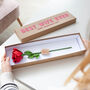 Forever Rose Valentine's Gift, thumbnail 2 of 3